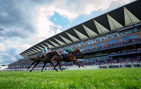 Ascot Expecting 20,000 for 'Generational King George'