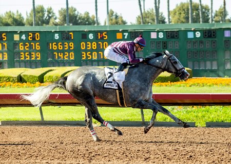 Sweet Azteca wins the Great Lady M. Stakes at Los Alamitos Race Course