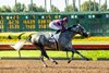 Pamela Ziebarth’s Sweet Azteca and jockey Juan Hernandez win the Grade II $200,000 Great Lady M Stakes Saturday, July 5, 2025 at Los Alamitos Race Course in Cypress, CA for trainer Richard Baltas.
Benoit Photo
 