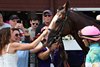 Dr. Agne, Maiden Win, Saratoga Race Course, July 11 2025
Cherie DeVaux, Carrie Agne, Jose Ortiz
2023 colt; Into Mischief - Lady Eli