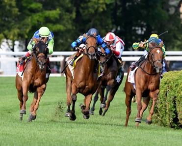 Excellent Truth Excellent Truth (IRE) - Horse Profile - BloodHorse