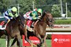Chancer McPatrick wins the 2025 Curlin Stakes at Saratoga Race Course