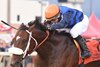 Cornishman wins 2025 Cornhusker Handicap at Prairie Meadows