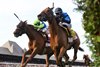 Excellent Truth wins the 2025 Diana Stakes at Saratoga Race Course