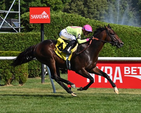 Zulu Kingdom wins the Manila Stakes at Saratoga Race Course