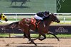 Nour wins on debut at Gulfstream Park