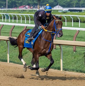 Skippylongstocking trains July 26 at Saratoga Race Course