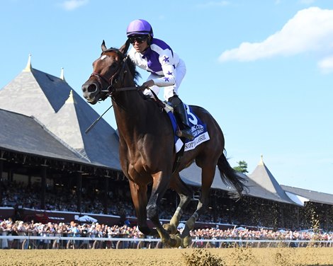 Scottish Lassie Targets More Saratoga Success in Shuvee