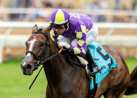 Medoro wins the Osunitas Stakes at Del Mar