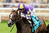 Medoro and jockey Umberto Rispoli win the $100,000 Osunitas Stakes, Sunday, July 20, 2025 at Del Mar Thoroughbred Club, Del Mar CA.
&#169; BENOIT PHOTO