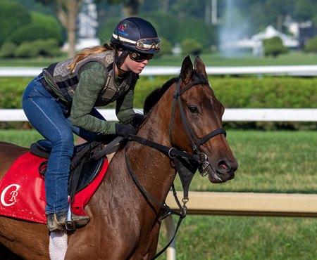 La Cara gallops under exercise rider Mary Rose Hitt in preparation for the Coaching Club American Oaks Invitational Stakes at Saratoga Race Course 