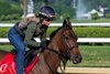 La Cara with exercise rider Mary Rose Hitt gallops at the Saratoga Race Course  Wednesday July 16, 2025 in preparation for Saturdays Coaching Club American Oaks in Saratoga Springs, N.Y.  Photo by Skip Dickstein