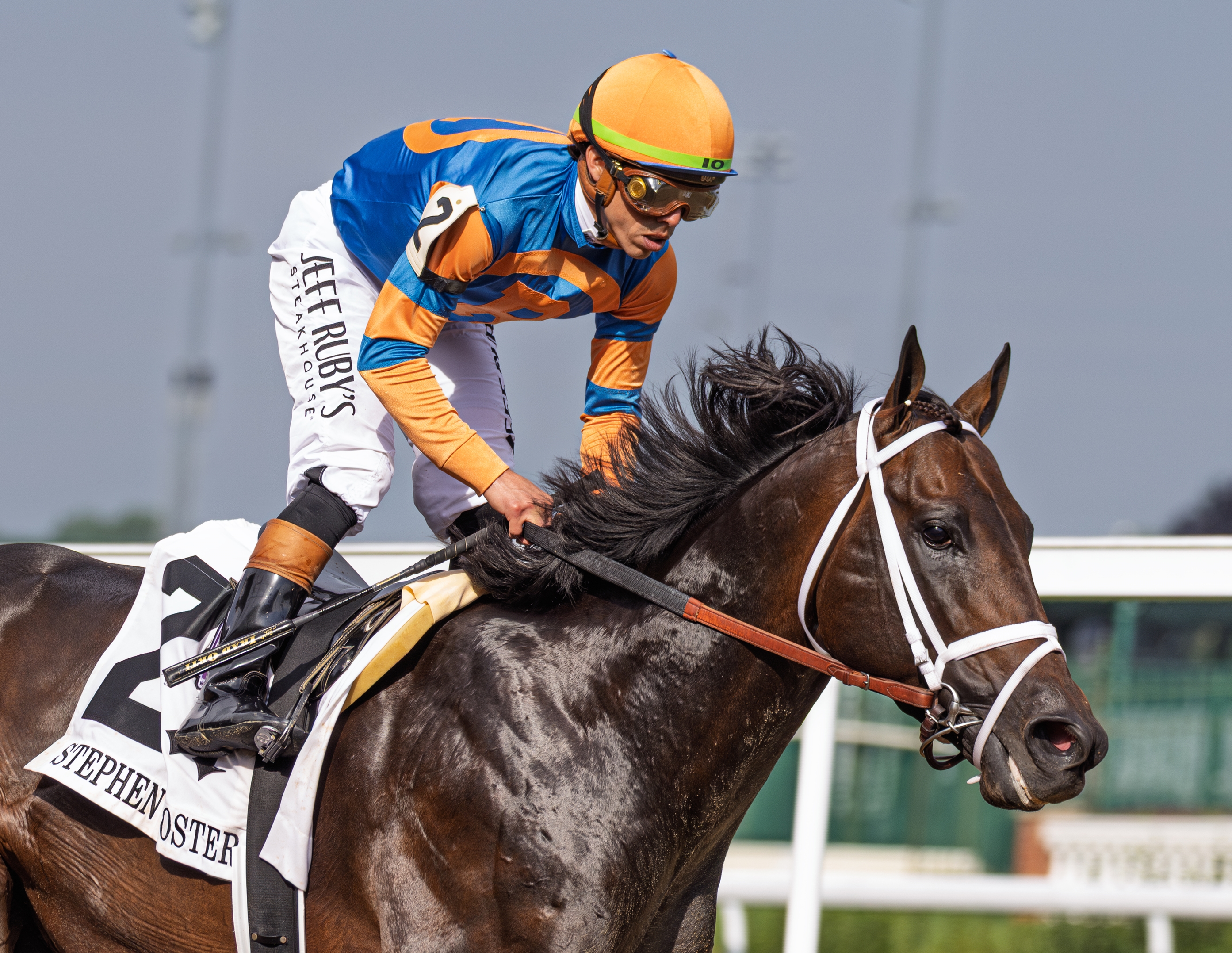 Gentildonna Wins Dramatic Sheema Classic - BloodHorse