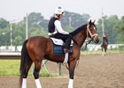 Haskell morning line favorite Journalism with rider Mark Witkowski, checks out his surrounding before a morning jog on the track at Monmouth Park Racetrack in Oceanport, NJ on Wednesday July 16, 2025.  Photo By Bill Denver/EQUI-PHOTO