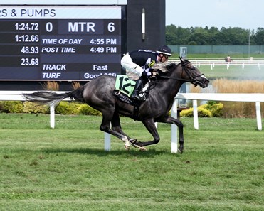 Annie Express - Horse Profile - BloodHorse