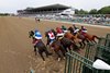 Surface to Air #6 with Samuel Marin riding won the $400,000 Grade III Monmouth Cup at Monmouth Park Racetrack in Oceanport, NJ on Saturday July 19, 2025.  Photo By Ryan Denver/EQUI-PHOTO