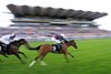 Lady Iman (Ryan Moore) wins the Molecomb Stakes
Goodwood 30.7.25 Pic: Edward Whitaker