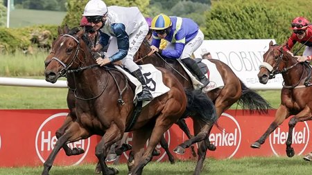 Lady Ilze in the Tattersalls Falmouth Stakes at Newmarket Racecourse