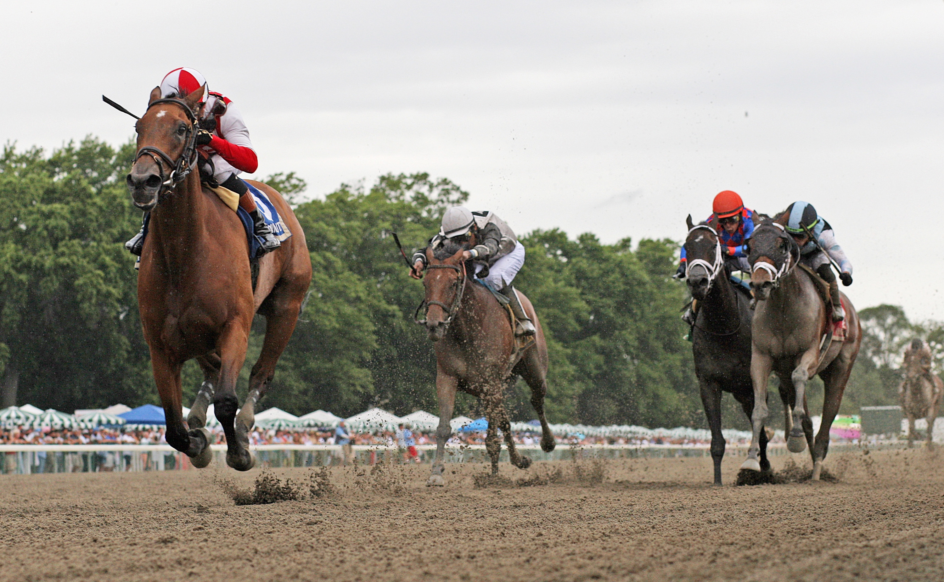 4fde0821a64c431691381be2272c3c