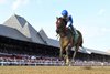 Book&#39;em Danno wins the 2025 Alfred G. Vanderbilt Stakes at Saratoga Race Course