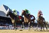 Chancer McPatrick wins the 2025 Curlin Stakes at Saratoga Race Course