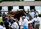 2025 Arqana Summer Sale
Arqana, Deauville, 03/07/2025, photo: Zuzanna Lupa