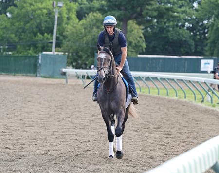 Gosger trains ahead of the Haskell Stakes at Monmouth Park