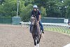 Gosger trains ahead of the Haskell Stakes at Monmouth Park