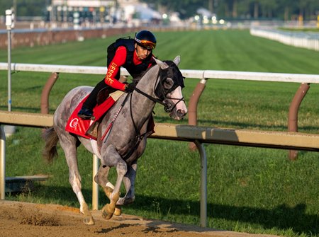 Sandman breezes four furlongs in :49.01 under Reynaldo Dumont at Saratoga Race Course