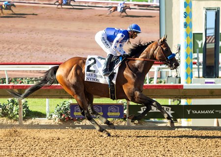 Nysos wins the San Diego Handicap at Del Mar