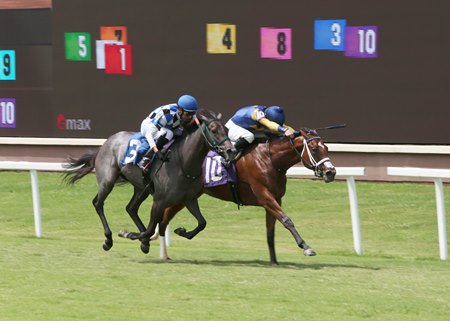 Ritzaphena (inside) digs in to break her maiden at Lone Star Park