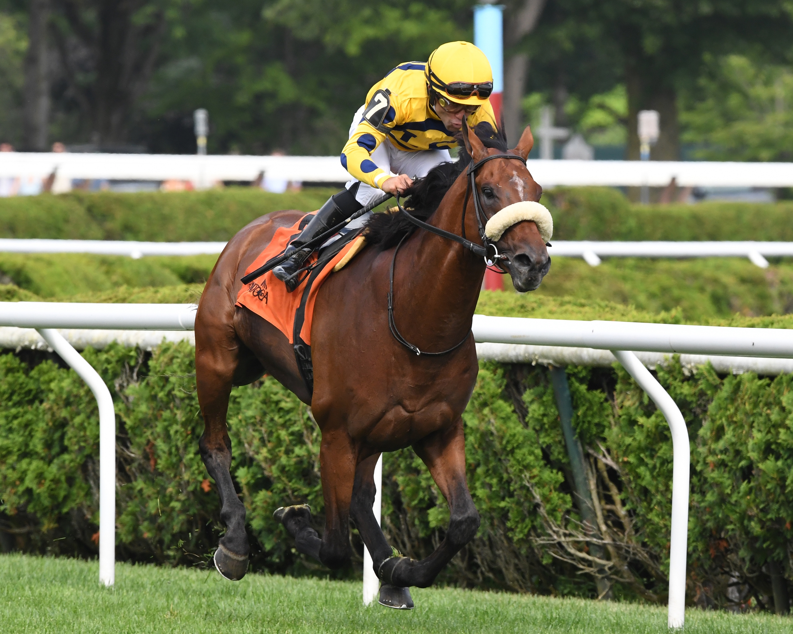Far Bridge Notches Bowling Green Win for Miguel Clement - BloodHorse