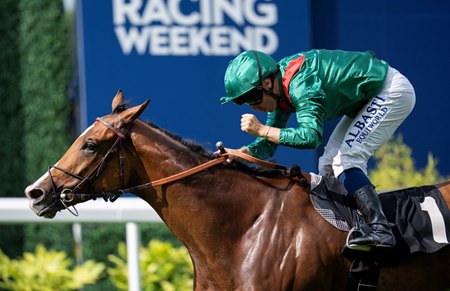 Calandagan wins the King George Stakes at Ascot Racecourse