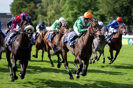 Jockey Neil Callan is all smiles as No Half Measures wins the July Cup Stakes at Newmarket Racecourse