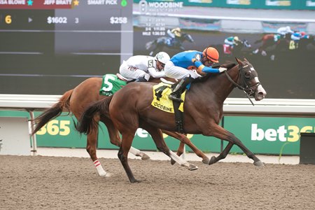 Literate defeats Caitlinhergrtness in the Trillium Stakes at Woodbine 