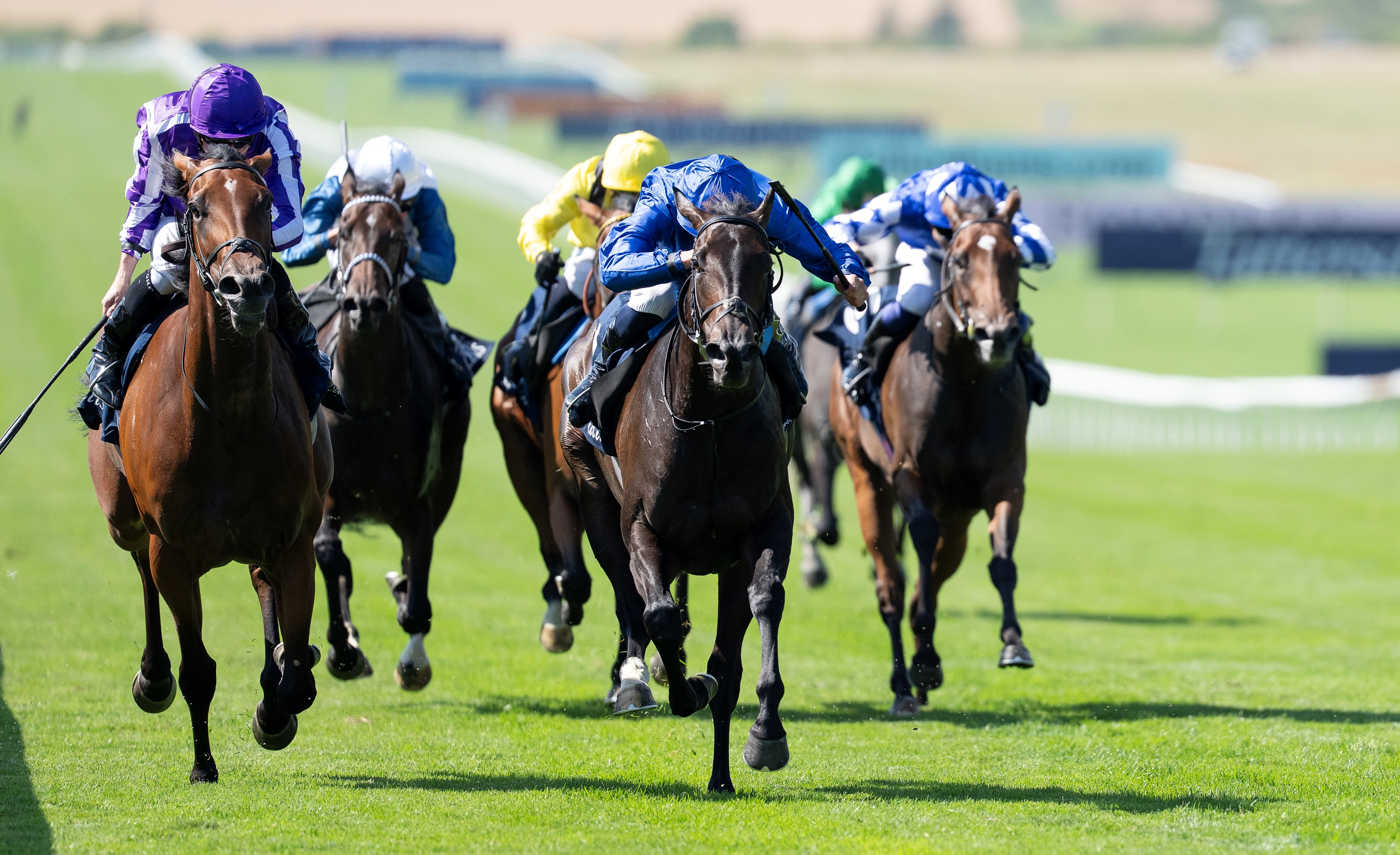 2011 DUBAI WORLD CUP Victoire Pisa 記念品 Victoire Pisa Wins Dubai World Cup for Japan - BloodHorse