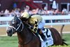 Governor Sam wins the Quick Call Stakes on Sunday, July 13, 2025 at Saratoga Race Course