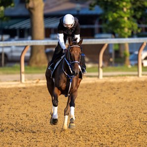 Thorpedo Anna trains at Saratoga Race Course