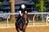 2024 Horse of the Year Thorpedo Anna with exercise rider Danny Ramsey aboard goes out for some exercise on the Oklahoma Training center track adjacent to  the Saratoga Race Course  Saturday July 19, 2025  in Saratoga Springs, N.Y.  Skip Dickstein Photo