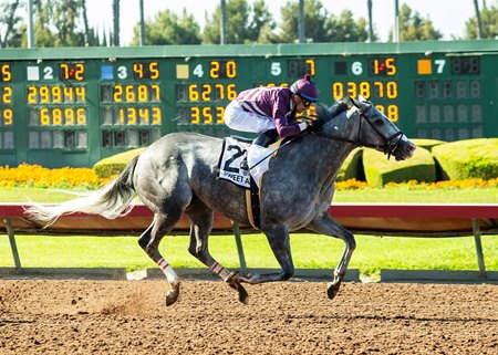 Sweet Azteca wins the Great Lady M Stakes at Los Alamitos Race Course