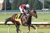 Magnitude wins 2025 Iowa Derby at Prairie Meadows