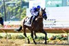 Baoma Corp.’s Nysos and jockey Flavien Prat win the Grade II $300,000 San Diego Handicap Saturday, July 26, 2025 at Del Mar Thoroughbred Club, Del Mar, CA. 
Benoit Photo