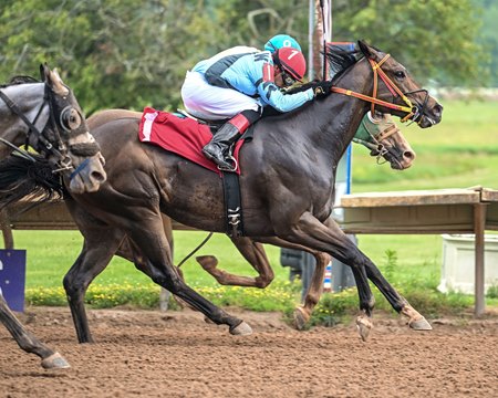 Racing at Finger Lakes