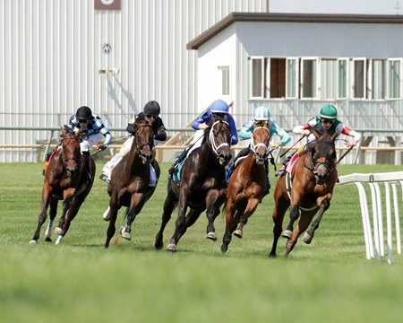 Turf racing at Horseshoe Indianapolis