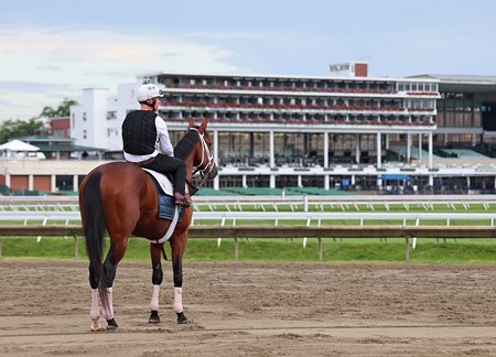 Journalism takes in the sights at Monmouth Park ahead of his victory there in the Haskell Stakes in July