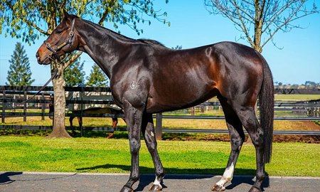 Lavalier, consigned as Lot 9, topped the Inglis July (Early) Online Sale