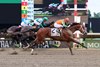 Journalism #2 with UImberto Rispoli riding won the $1,000,000 Grade I NYRA Bets Haskell Stakes at Monmouth Park Racetrack in Oceanport, NJ on Saturday July 19, 2025.  Photo By Bill Denver/EQUI-PHOTO