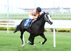 Jutland, Maiden Win, Horseshoe Indianapolis, July 3 2025
First winner for Raging Bull