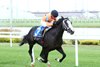 Jutland, Maiden Win, Horseshoe Indianapolis, July 3 2025
First winner for Raging Bull