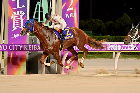 Mikki Fight wins the Teio Sho at Oi Racecourse